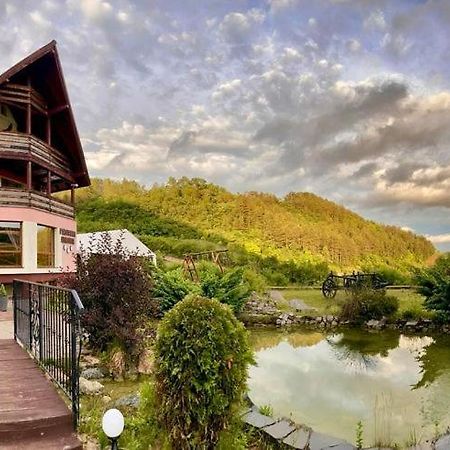 Pensiunea Armonia Nădăşelu Buitenkant foto
