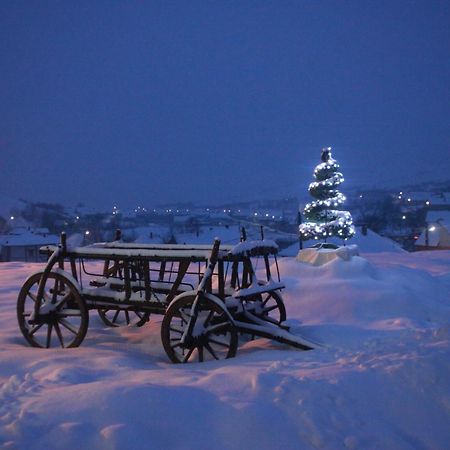 Pensiunea Armonia Nădăşelu Buitenkant foto