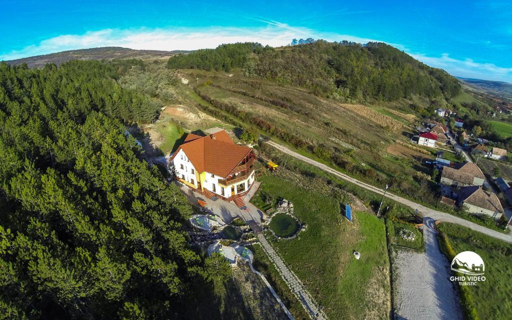 Pensiunea Armonia Nădăşelu Buitenkant foto